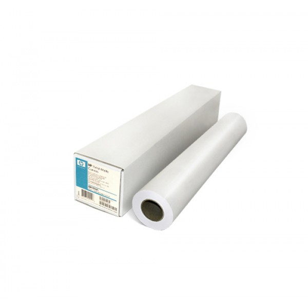 HP Professional Matte Canvas - Matt - 22 mil - Rolle (106,7cm x 15,2 m)
