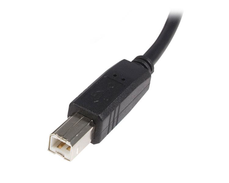 StarTech.com 3m USB 2.0 A auf B Kabel - St/St - USB-Kabel - USB (M)