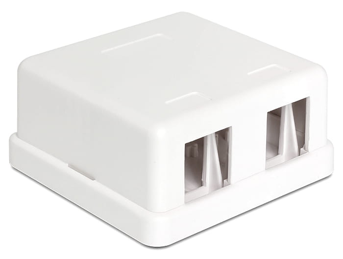 Delock Keystone Surface Mounted Box - Gehäuse