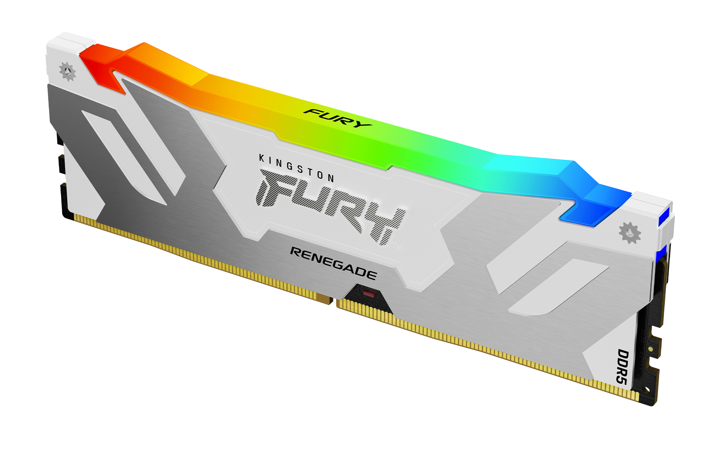 Kingston FURY Renegade RGB - DDR5 - Modul - 16