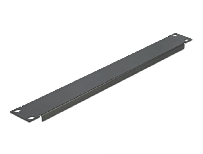 Delock Rack-Blindabdeckungsplatte - Schwarz - 1U - 48.3 cm (19")