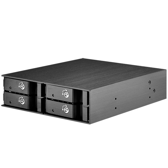 SilverStone FS204 - Gehäuse für Speicherlaufwerke - 2.5" (6.4 cm)