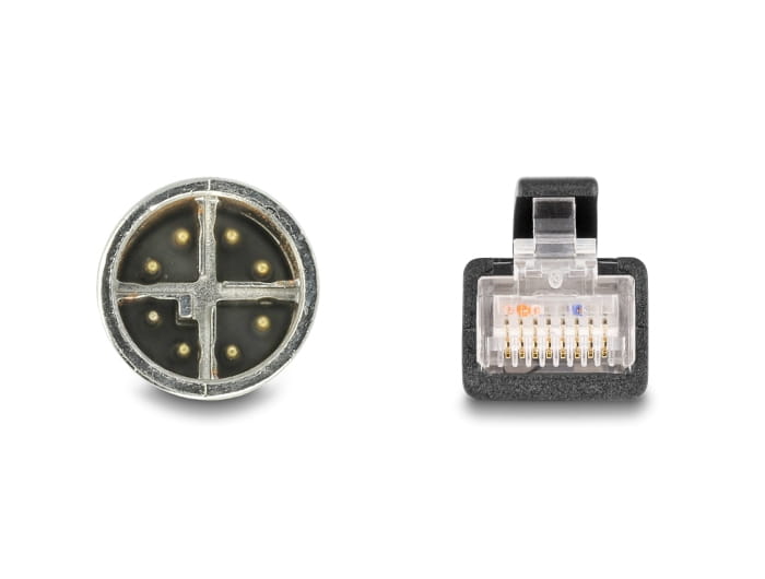Delock Netzwerkkabel - 8 pin M12-X (M) zu RJ-45 (M)