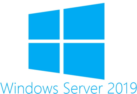 Microsoft Windows Server 2019 - Lizenz - 20 Benutzer-CALs