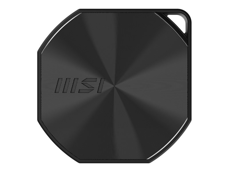 MSI DATAMAG - SSD - 1 TB - extern (tragbar) - USB 3.2 Gen 2x2 (USB-C Steckverbinder)