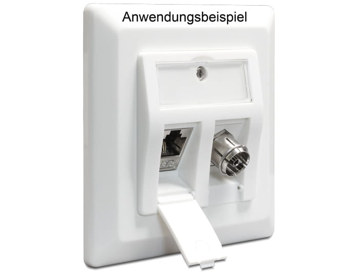 Delock Keystone Wall Outlet - Wanddose - weiß