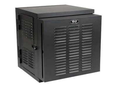 12U Wall Mount Rack Enclosure Hinged Wallmount Industrial NEMA - Schrank Netzwerkschrank - geeignet für Wandmontage - Schwarz - 12U - 48.3 cm (19")