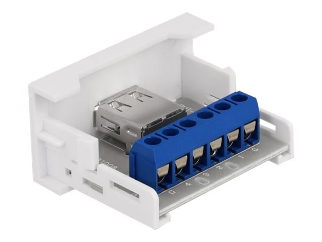 Delock Easy 45 - Einrastmodul - USB - 1 Modul