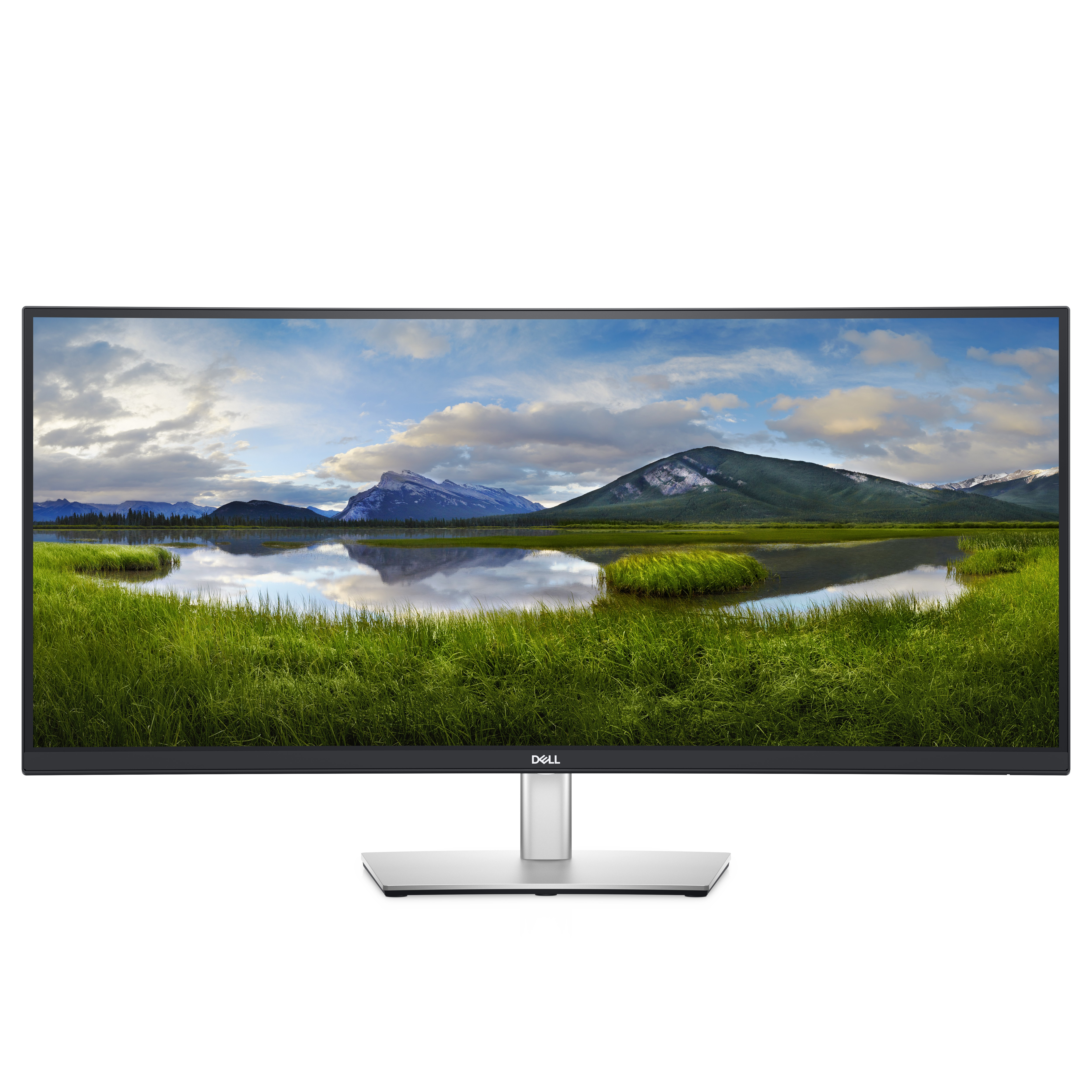Dell P3421WM - LED-Monitor - gebogen - 86.4 cm (34")