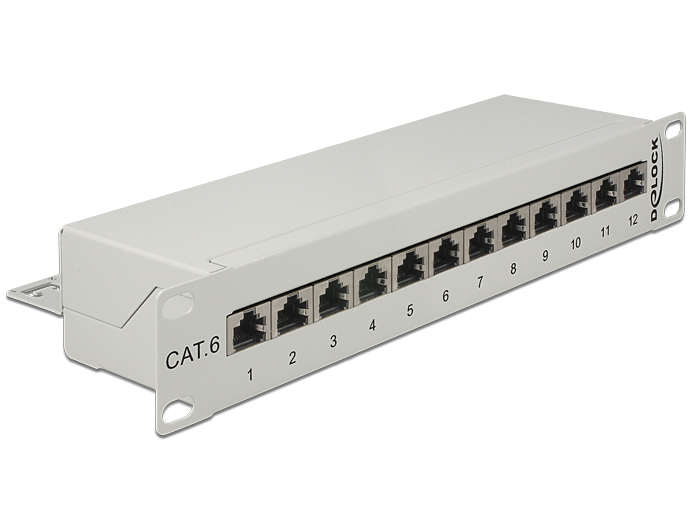 Delock Patch Panel - CAT 6 - RJ-45 X 12 - Hellgrau - 1U - 25.4 cm (10")