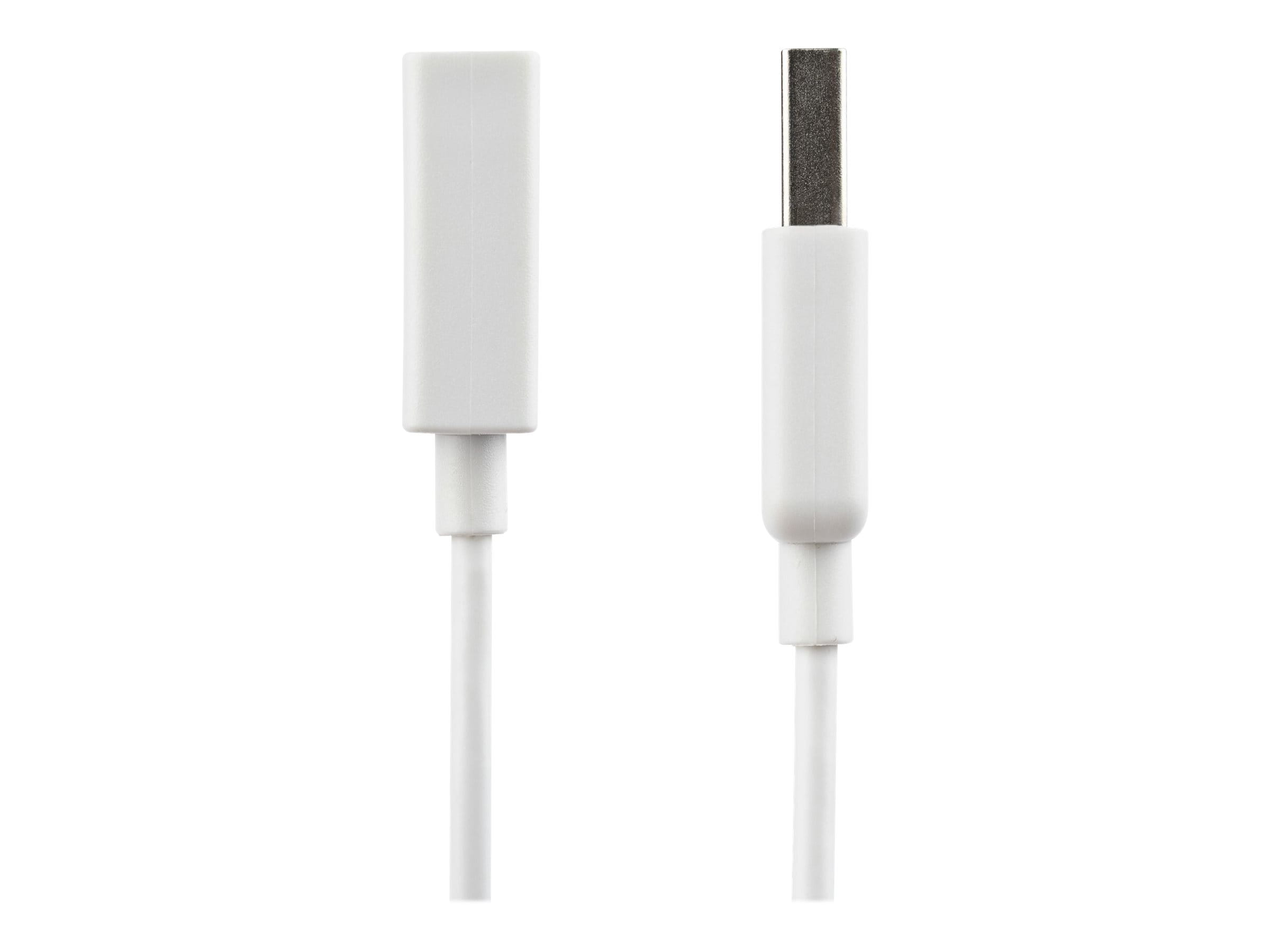StarTech.com 3m USB 2.0 Verlängerungskabel A auf A - Stecker/Buchse - Weiß - USB A (St)