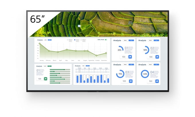 Sony FW-65BZ30L, Digital Signage Flachbildschirm, 165,1 cm (65"), LCD, 3840 x 2160 Pixel, WLAN, 24/7