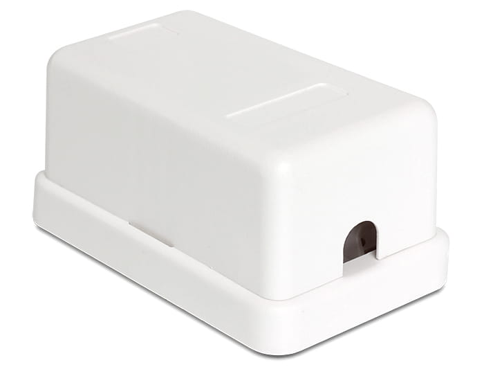 Delock Keystone Surface Mounted Box - Gehäuse