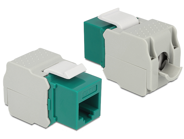 Delock Modulare Eingabe - CAT 6 - UTP - RJ-45