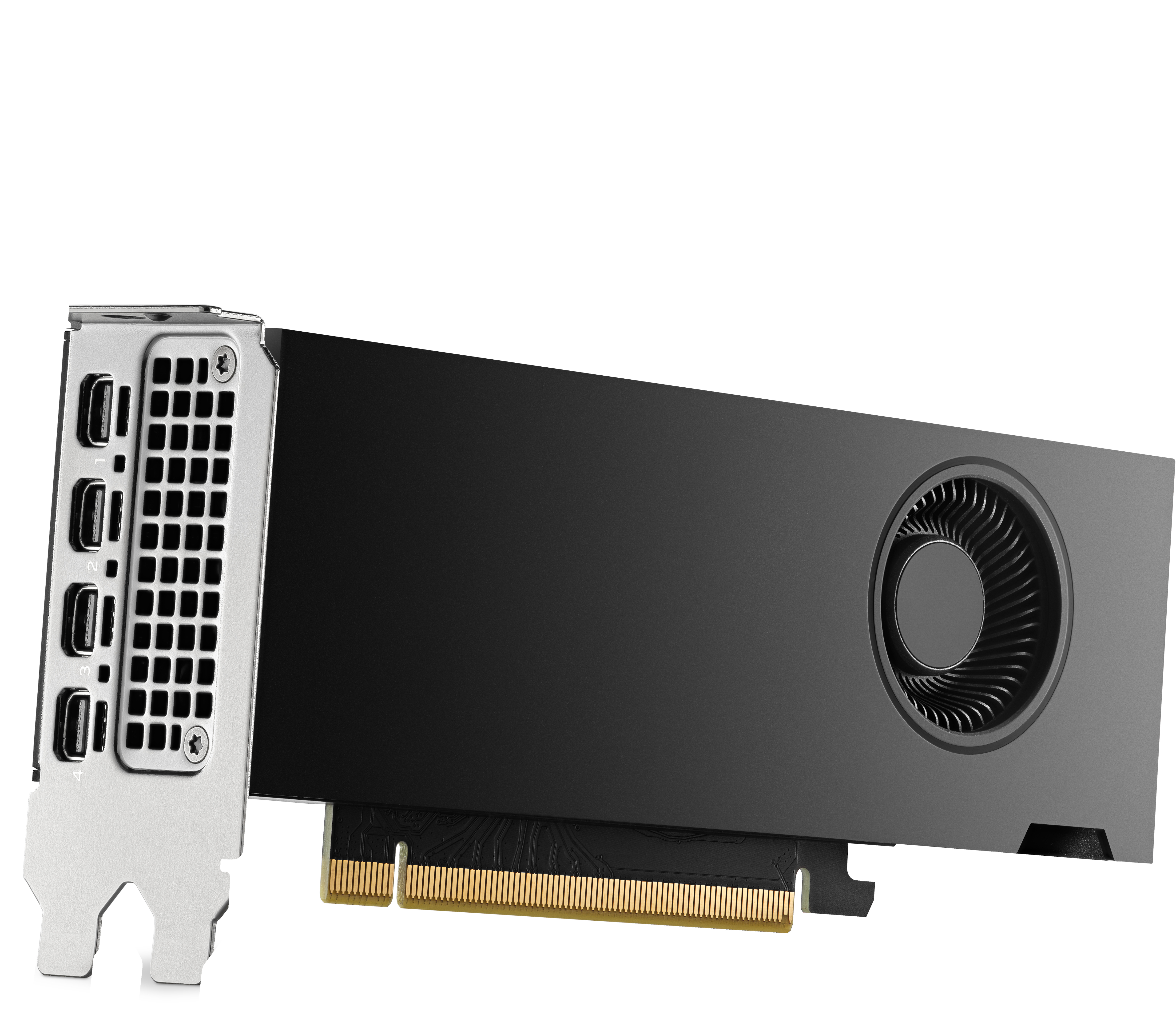 HP NVIDIA RTX - Grafikkarte - NVIDIA RTX 2000 Ada