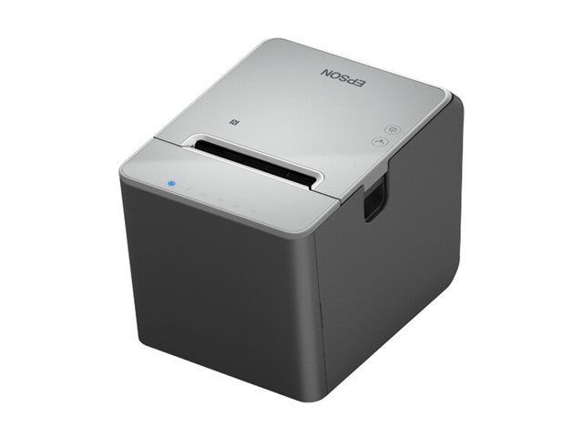 Epson TM L100 (111) - Belegdrucker - Thermozeile