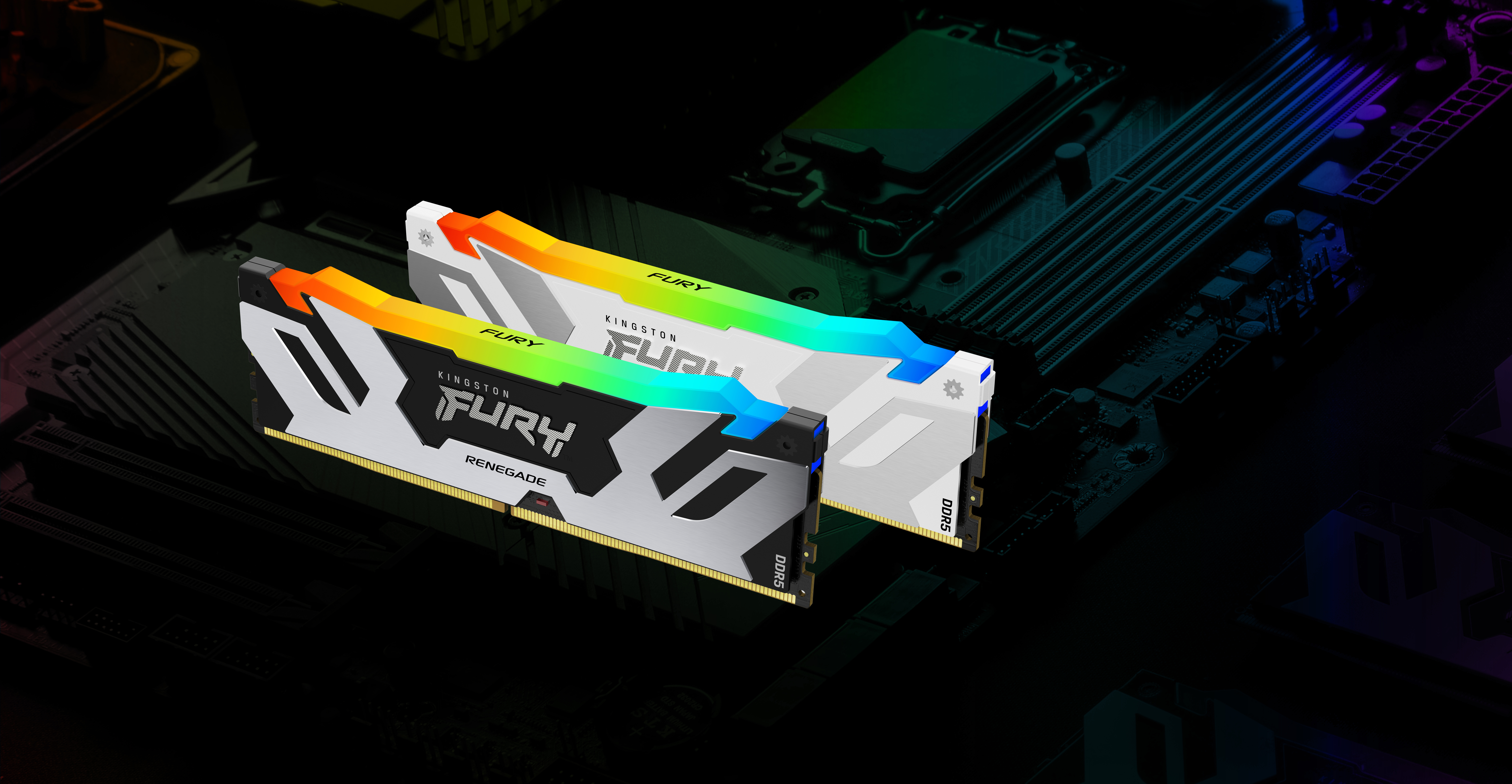 Kingston FURY Renegade RGB - DDR5 - Modul - 16