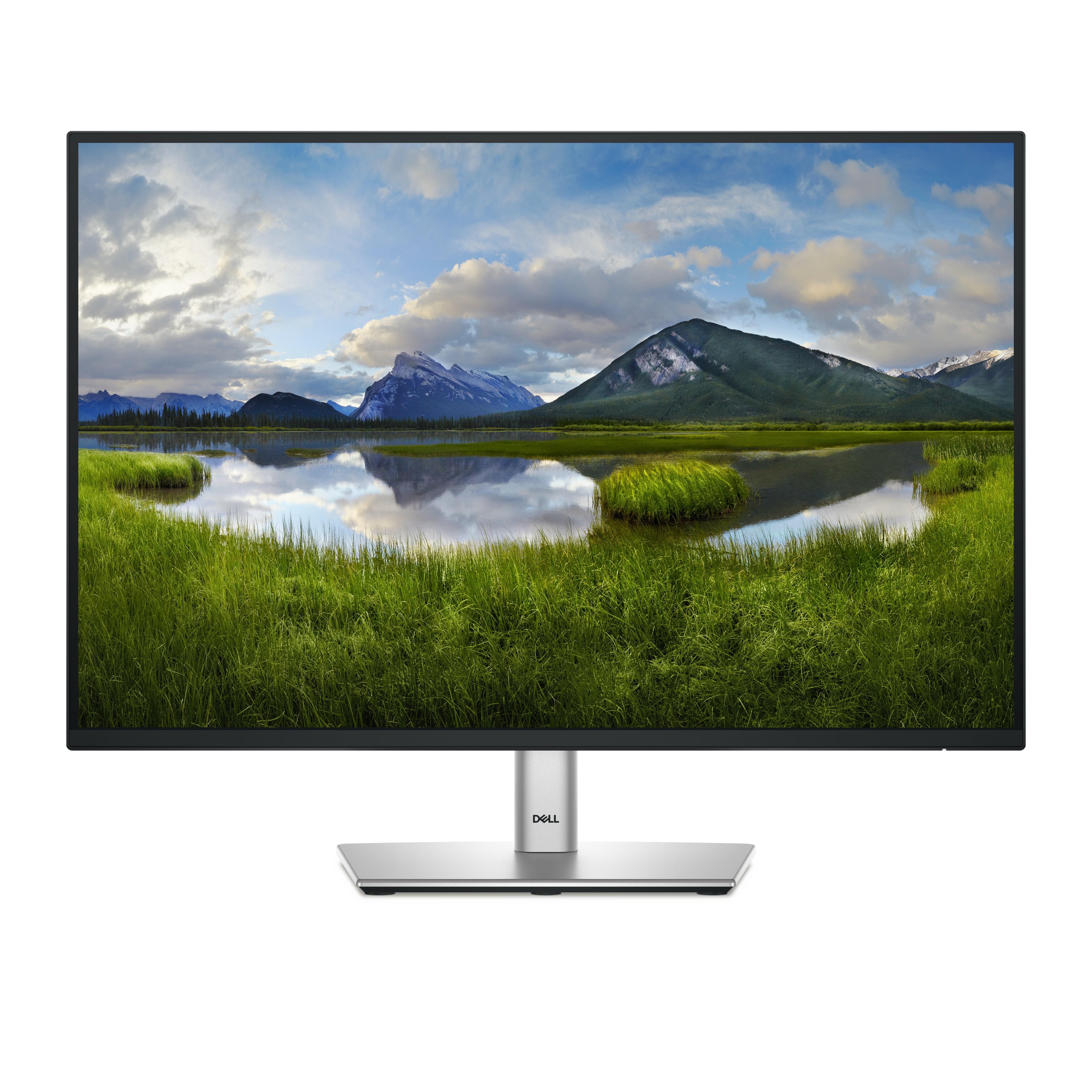 Dell P2425 - LED-Monitor - 61 cm (24") (24.07" sichtbar)