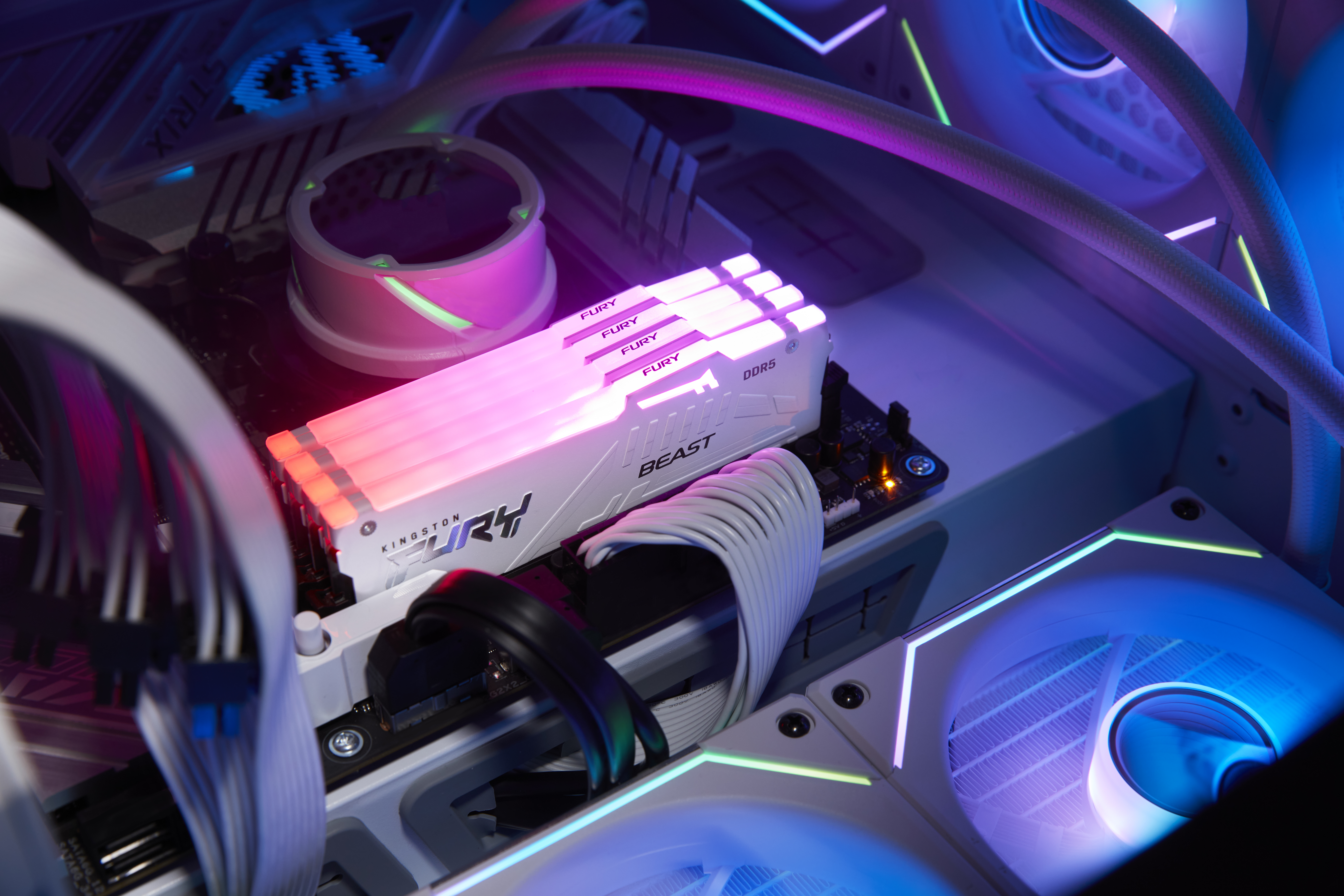 Kingston FURY Beast RGB - DDR4 - Kit - 64 GB: