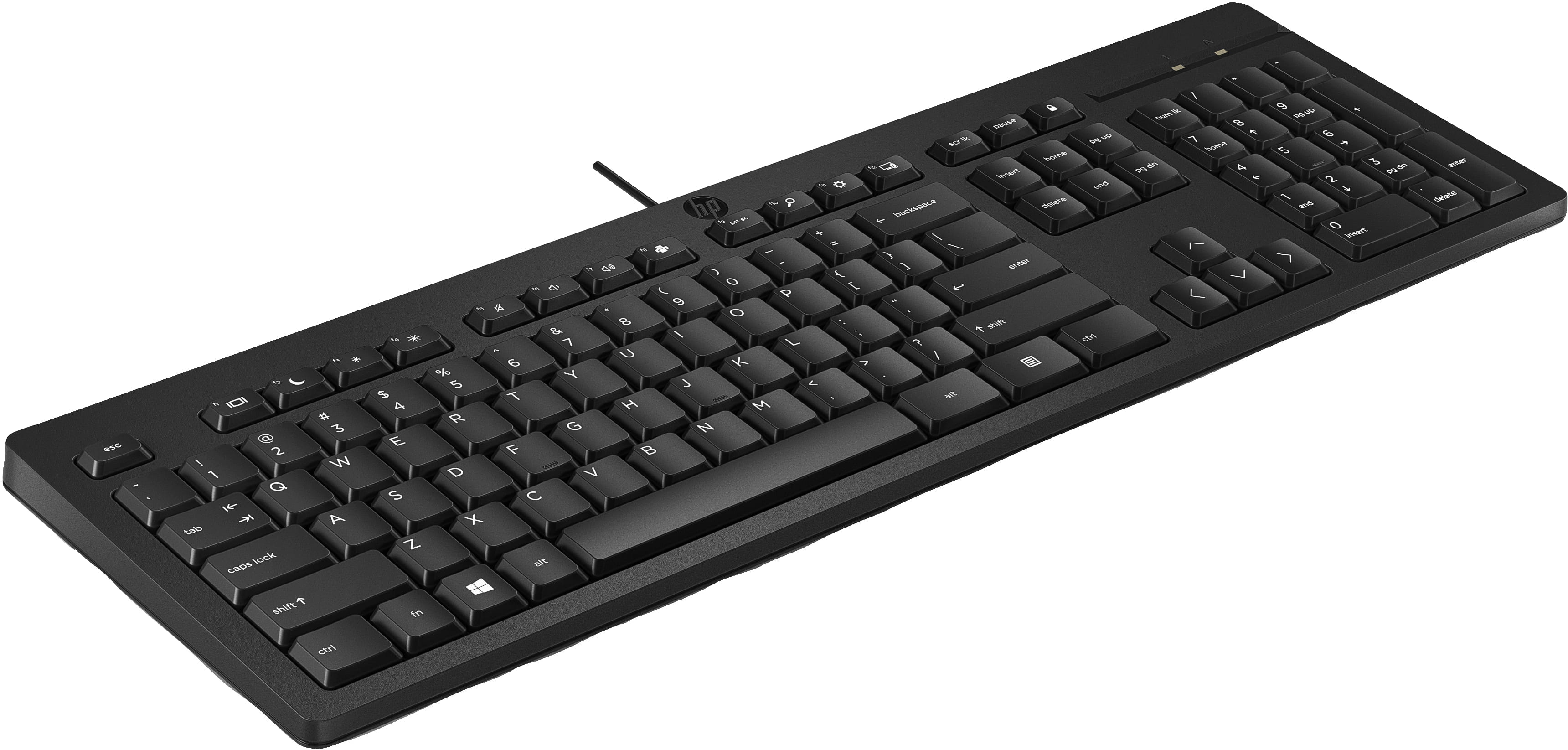 HP 125 Kabelgebundene Tastatur, Volle Größe (100%), Kabelgebunden, USB, Schwarz