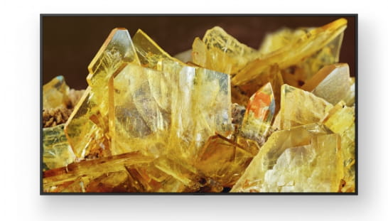 Sony Bravia Professional Displays FWD-98X90L - 248 cm (98")