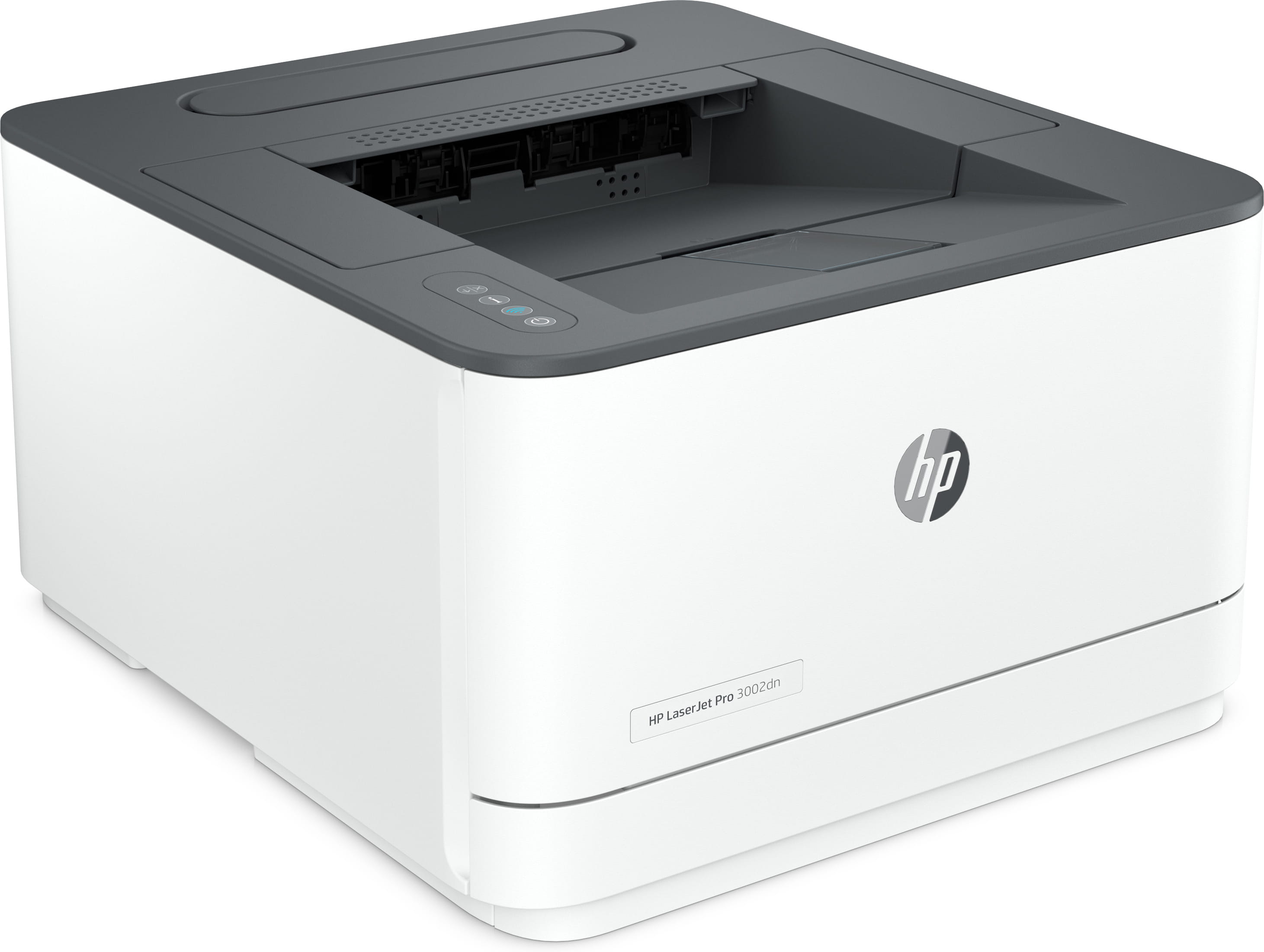 HP LaserJet Pro 3002dn - Drucker - s/w - Duplex
