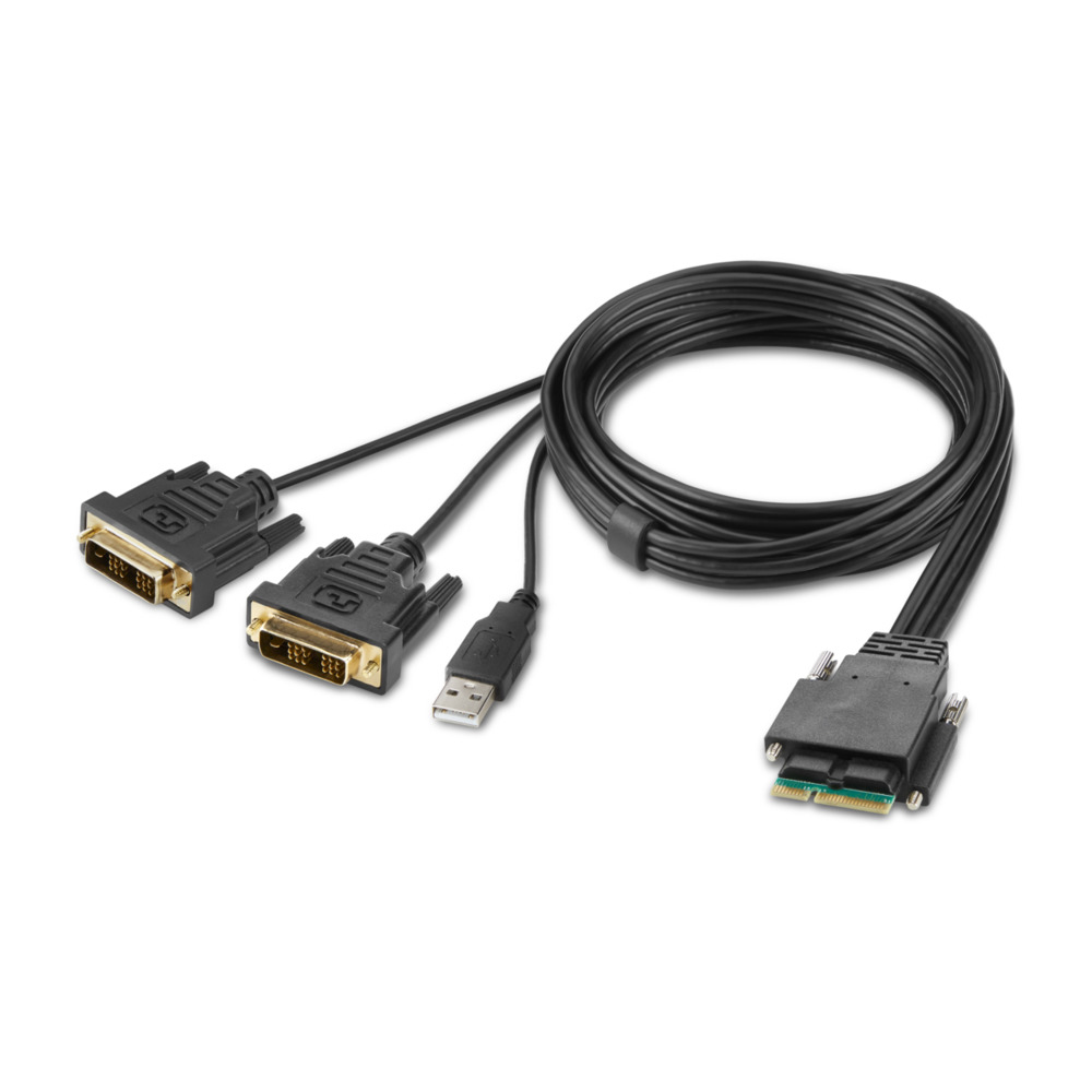 Belkin Secure Modular DVI Dual Head Host Cable - Video- / USB-Kabel - TAA-konform - USB, DVI (M)