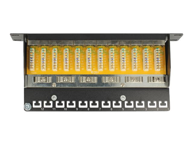 Delock Patch Panel - CAT 6 - RJ-45 X 12 - Schwarz - 1U - 25.4 cm (10")