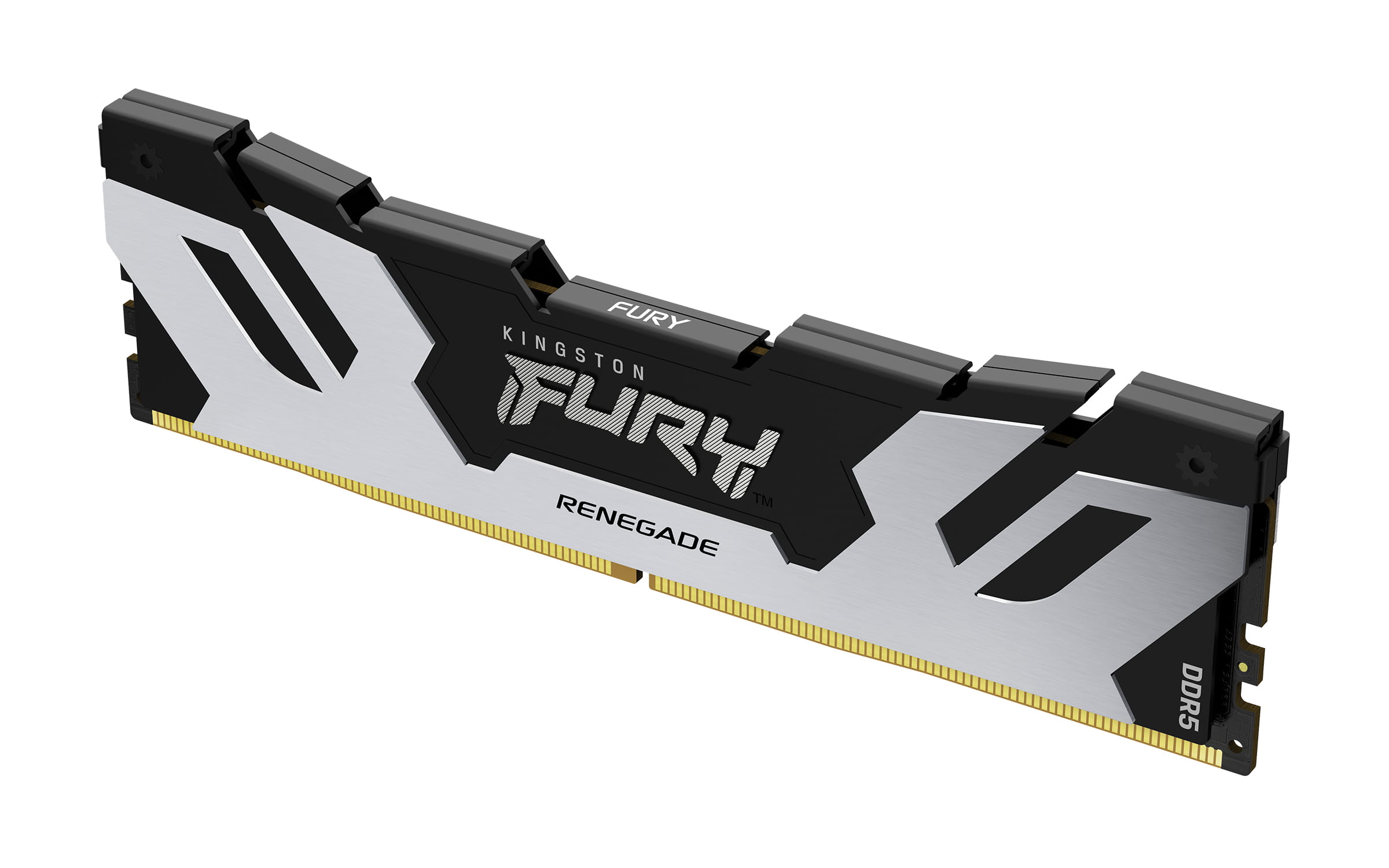 Kingston FURY Renegade - DDR5 - Modul - 32 GB