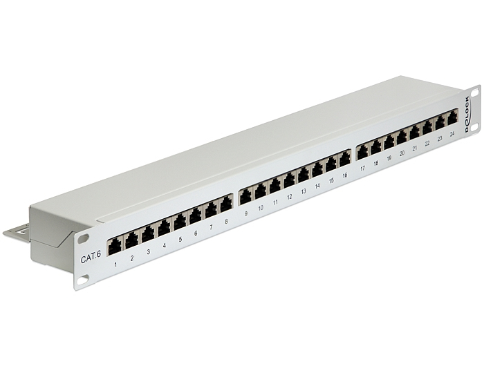 Delock Patch Panel - CAT 6 - RJ-45 X 24 - Hellgrau - 1U - 48.3 cm (19")