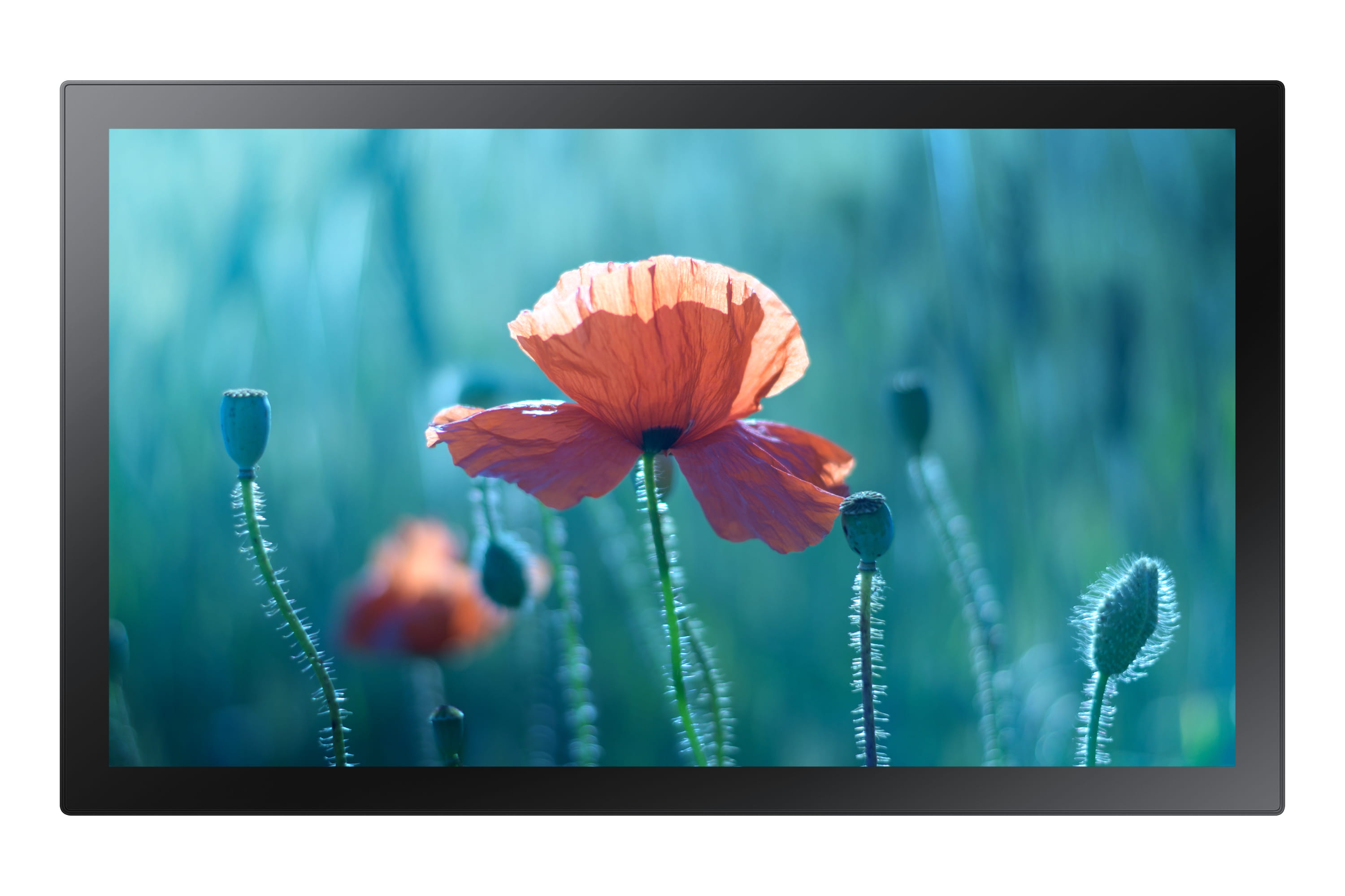 Samsung QB13R-T - 33 cm (13") Diagonalklasse QBR Series LED display unit - interaktive Digital Signage - mit Touchscreen (Multi-Touch)