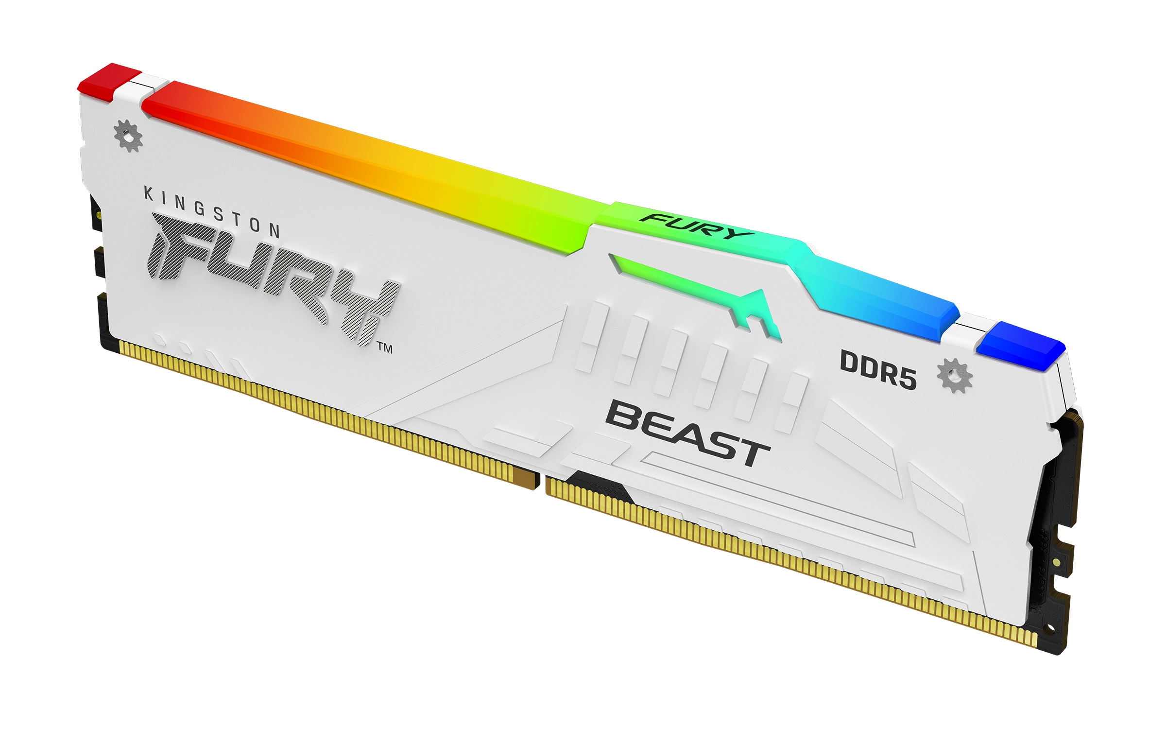 Kingston FURY Beast RGB - DDR5 - Modul - 16 GB