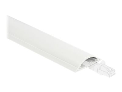 Delock Kabelkanal - 1 m - weiß