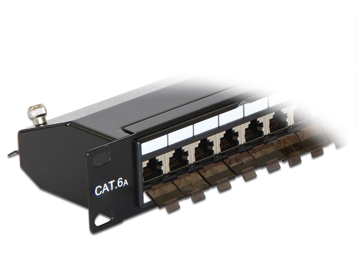 Delock Patch Panel - CAT 6a - RJ-45 X 24 - Jet Black, RAL 9005 - 1U - 48.3 cm (19")