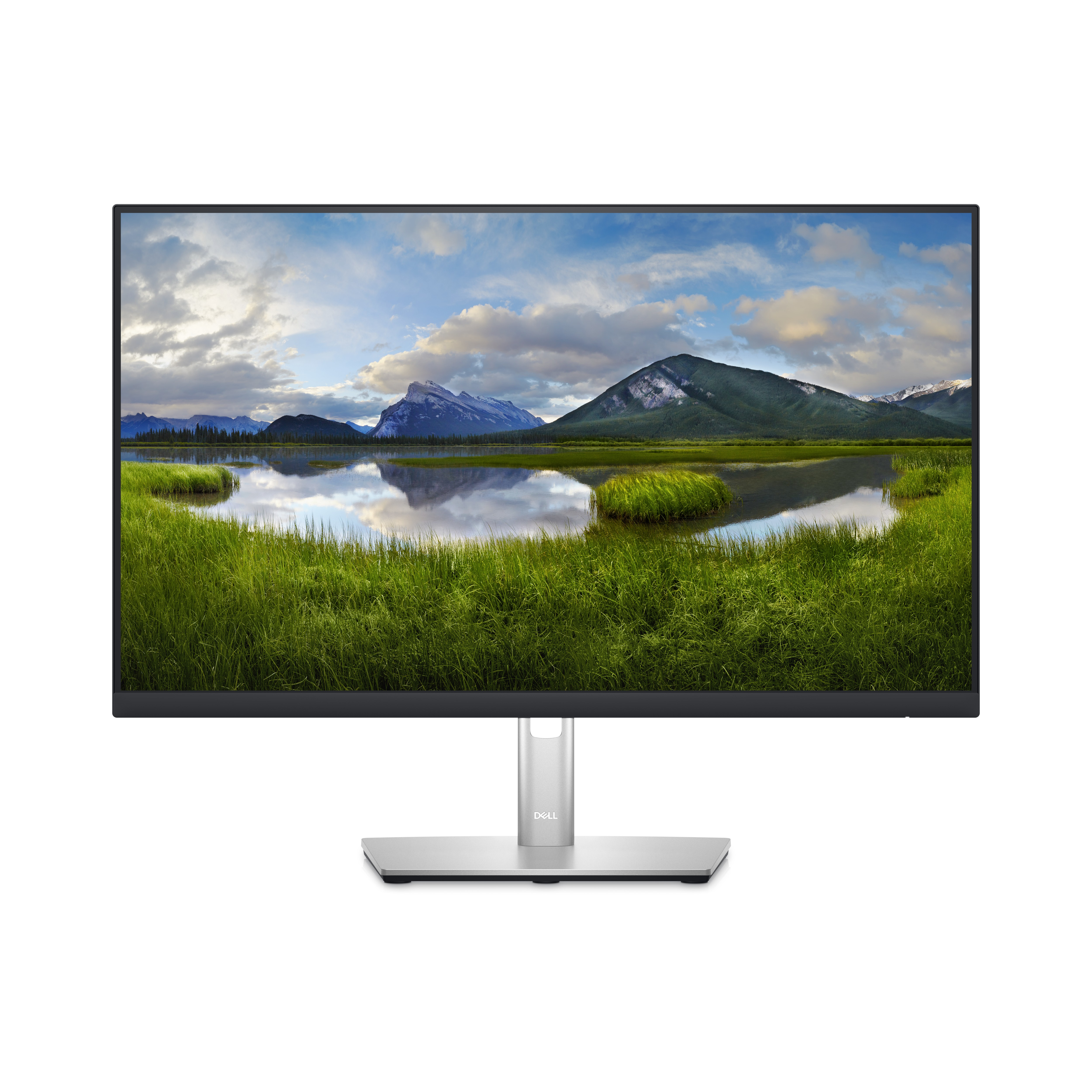 Dell P2423D - LED-Monitor - 60.45 cm (23.8")