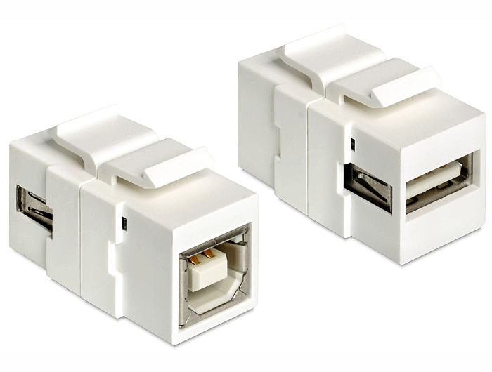 Delock Modularer Einschub (Kopplung) - USB-Typ