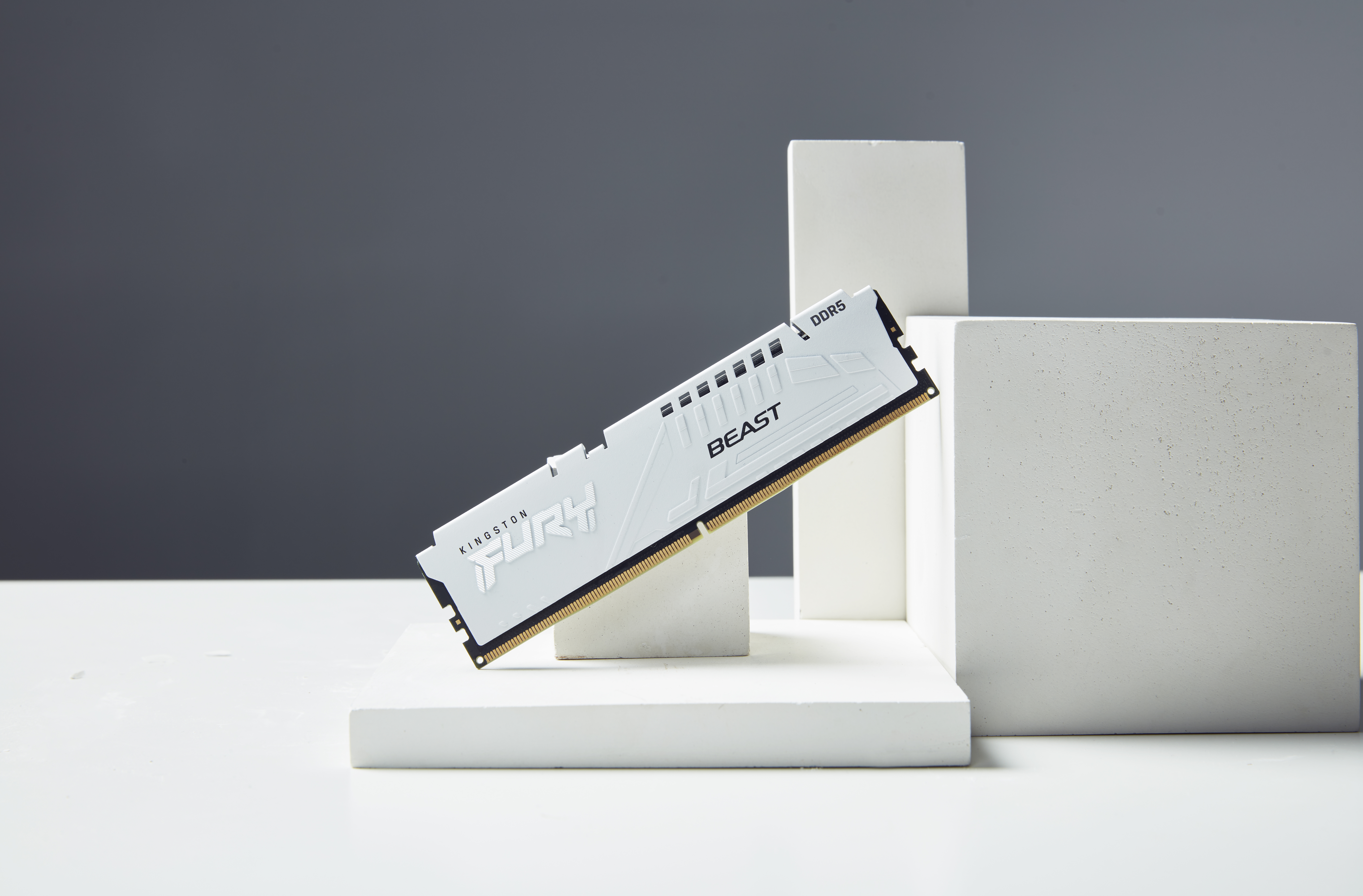 Kingston FURY Beast - DDR5 - Modul - 16 GB
