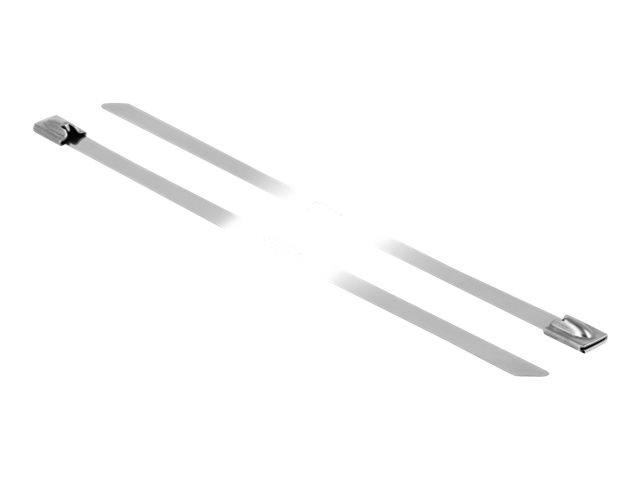 Delock Kabelbinder - 20 cm (Packung mit 10)