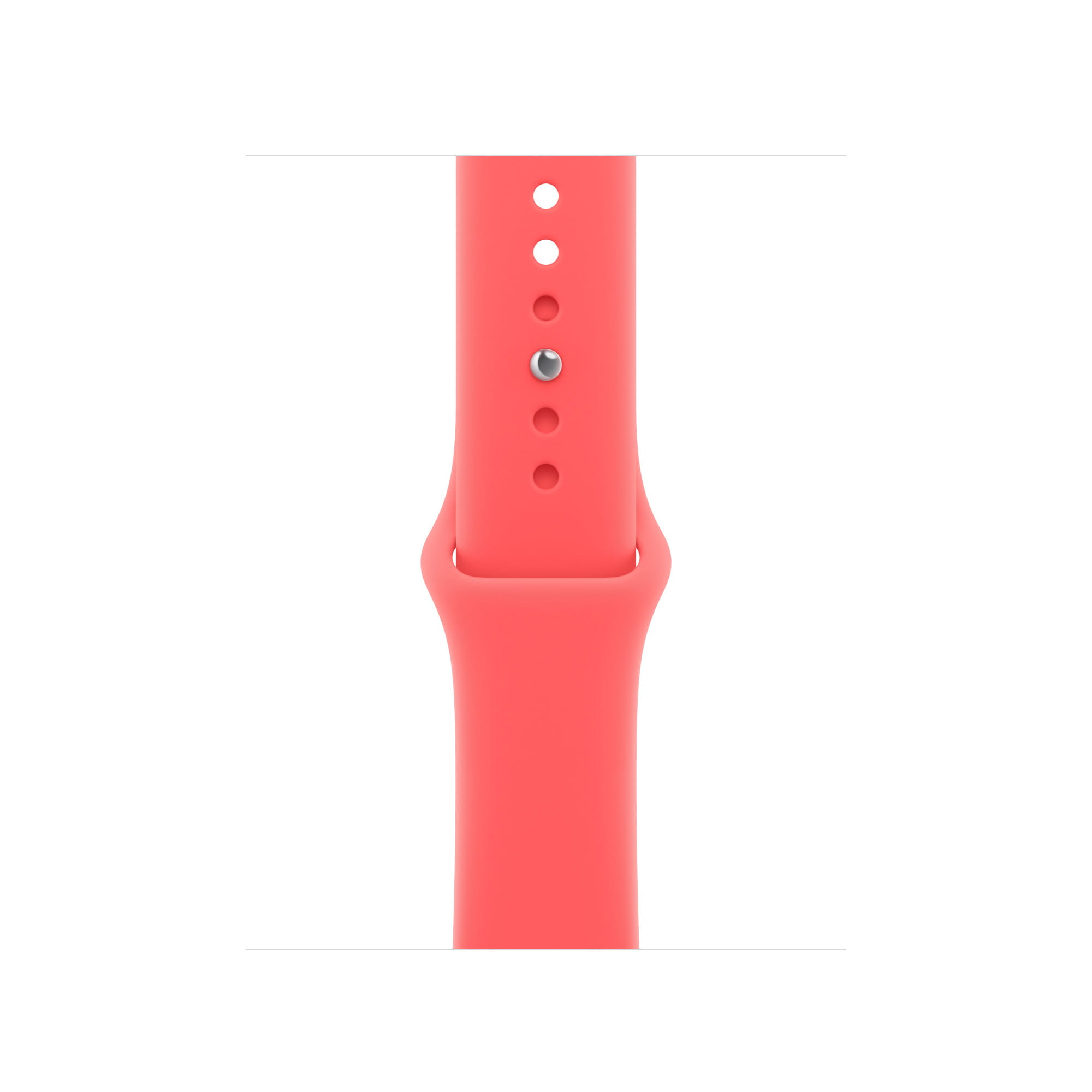Apple Armband für Smartwatch - 40 mm - Größe