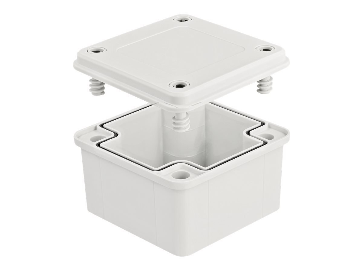 Delock Aufputzbox - Grau
