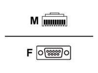 Kabel seriell - DB-9 (W) bis RJ-45 (10-polig)