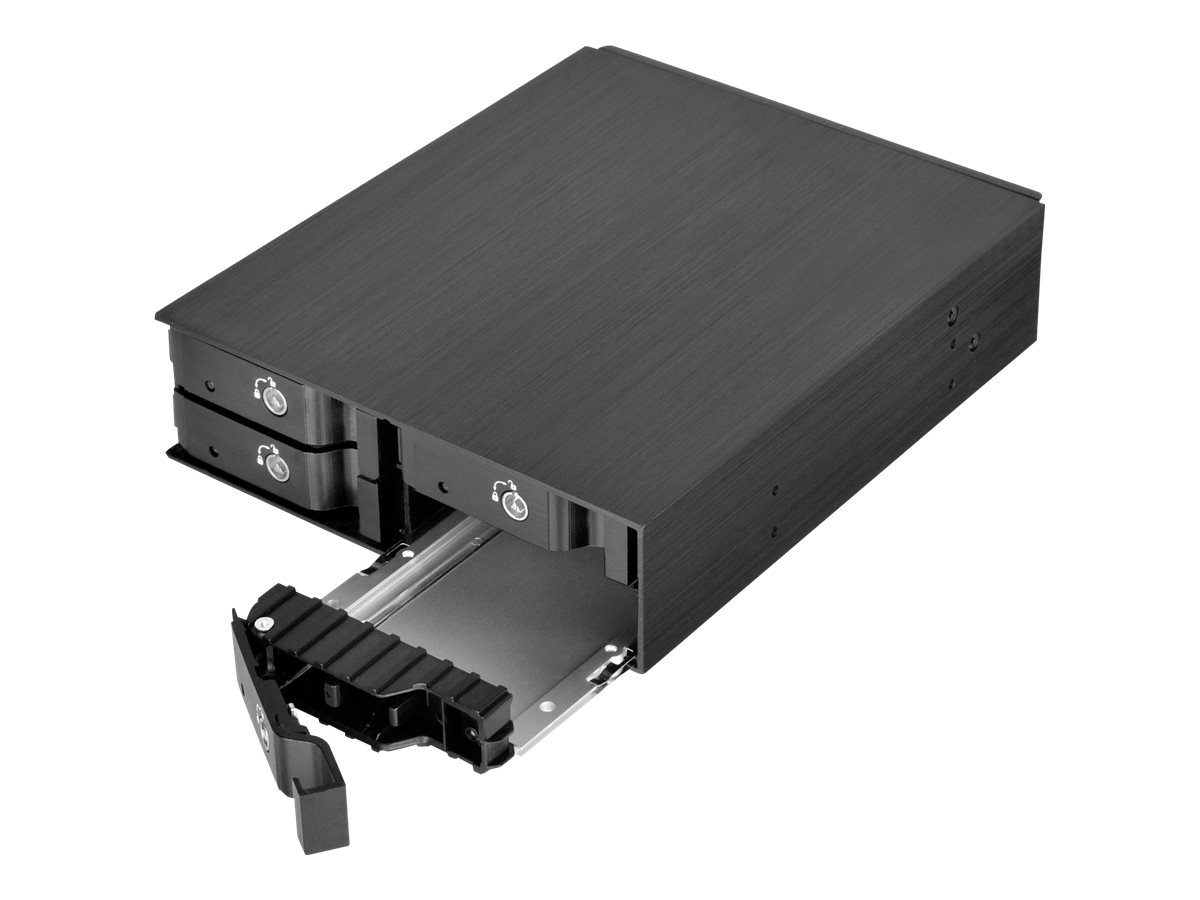 SilverStone FS204 - Gehäuse für Speicherlaufwerke - 2.5" (6.4 cm)