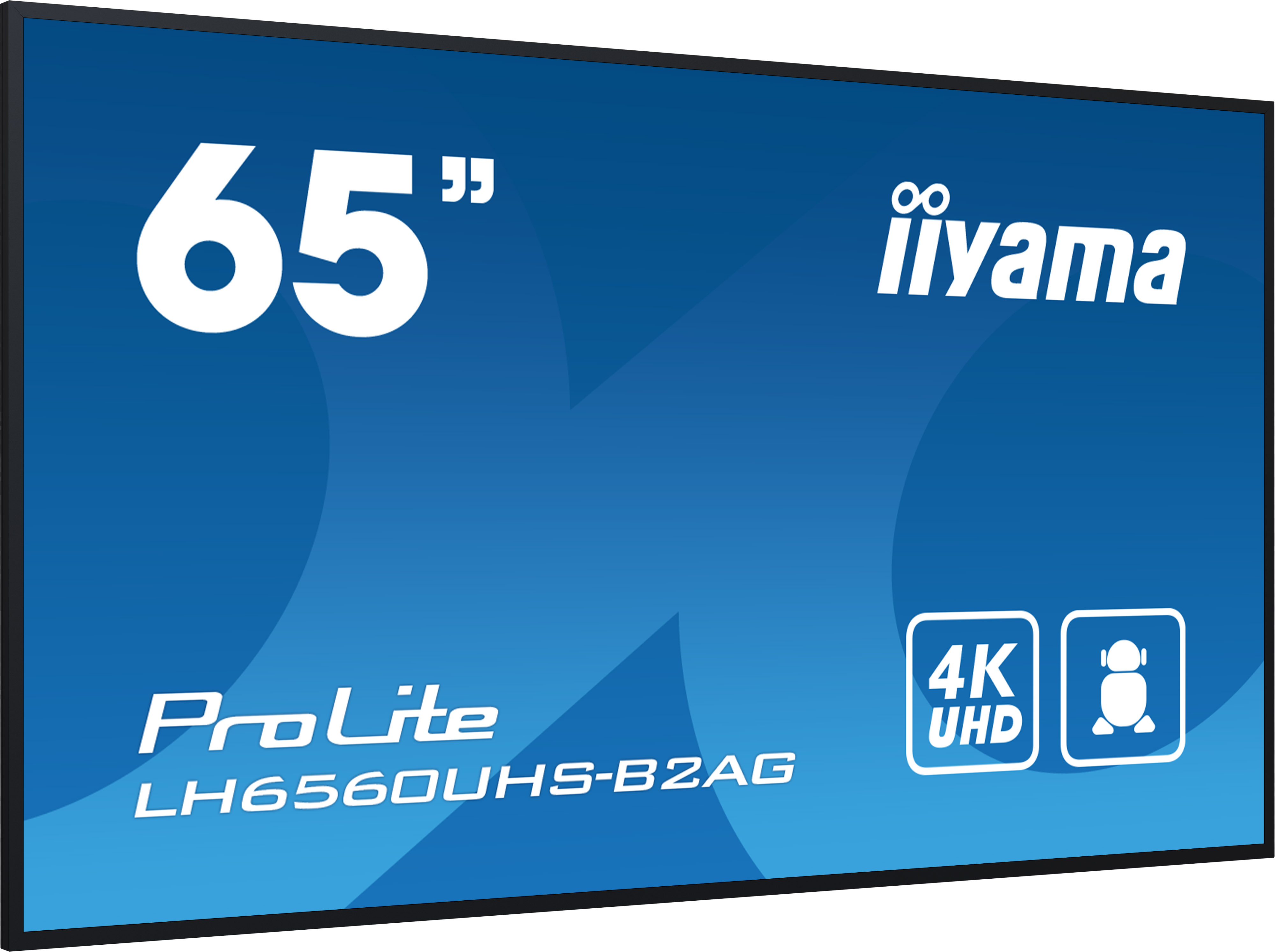 Iiyama ProLite LH6560UHS-B2AG - 165 cm (65") Diagonalklasse (164 cm (64.5")