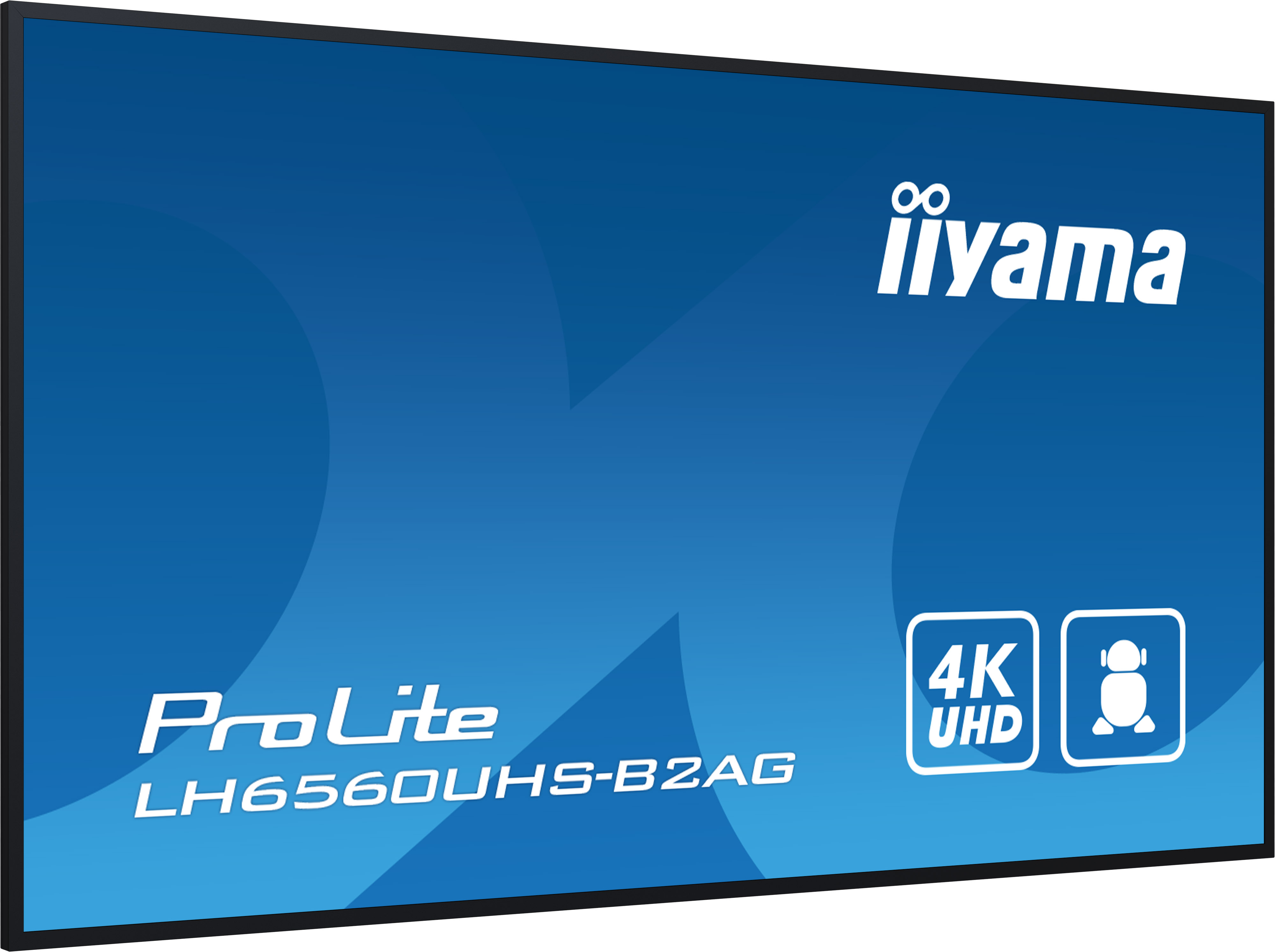Iiyama ProLite LH6560UHS-B2AG - 165 cm (65") Diagonalklasse (164 cm (64.5")