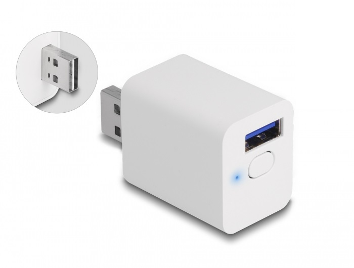 Delock Smart-Schalter - WLAN, EASY-USB, MQTT