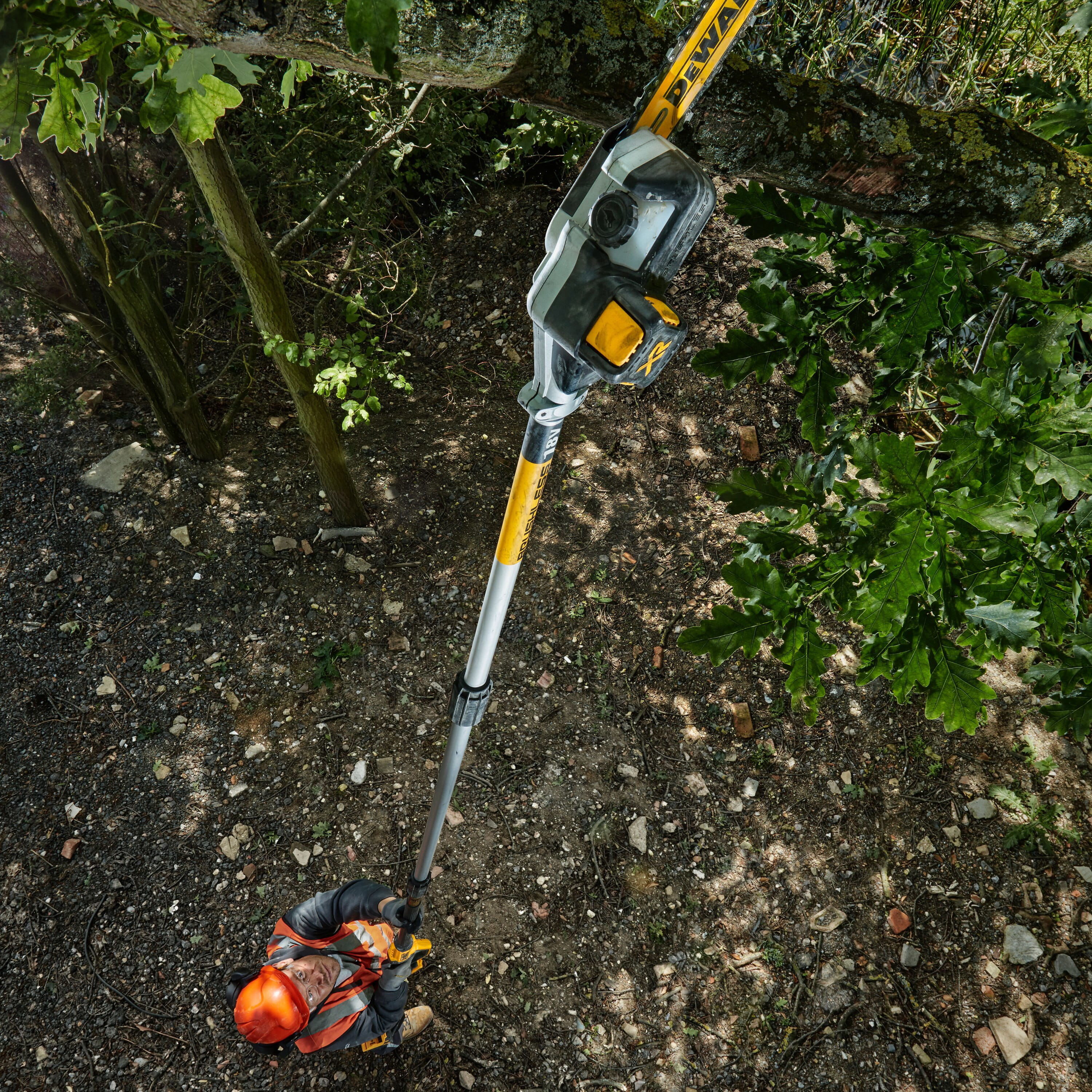 DEWALT XR - Astschere/Hochentaster - schnurlos