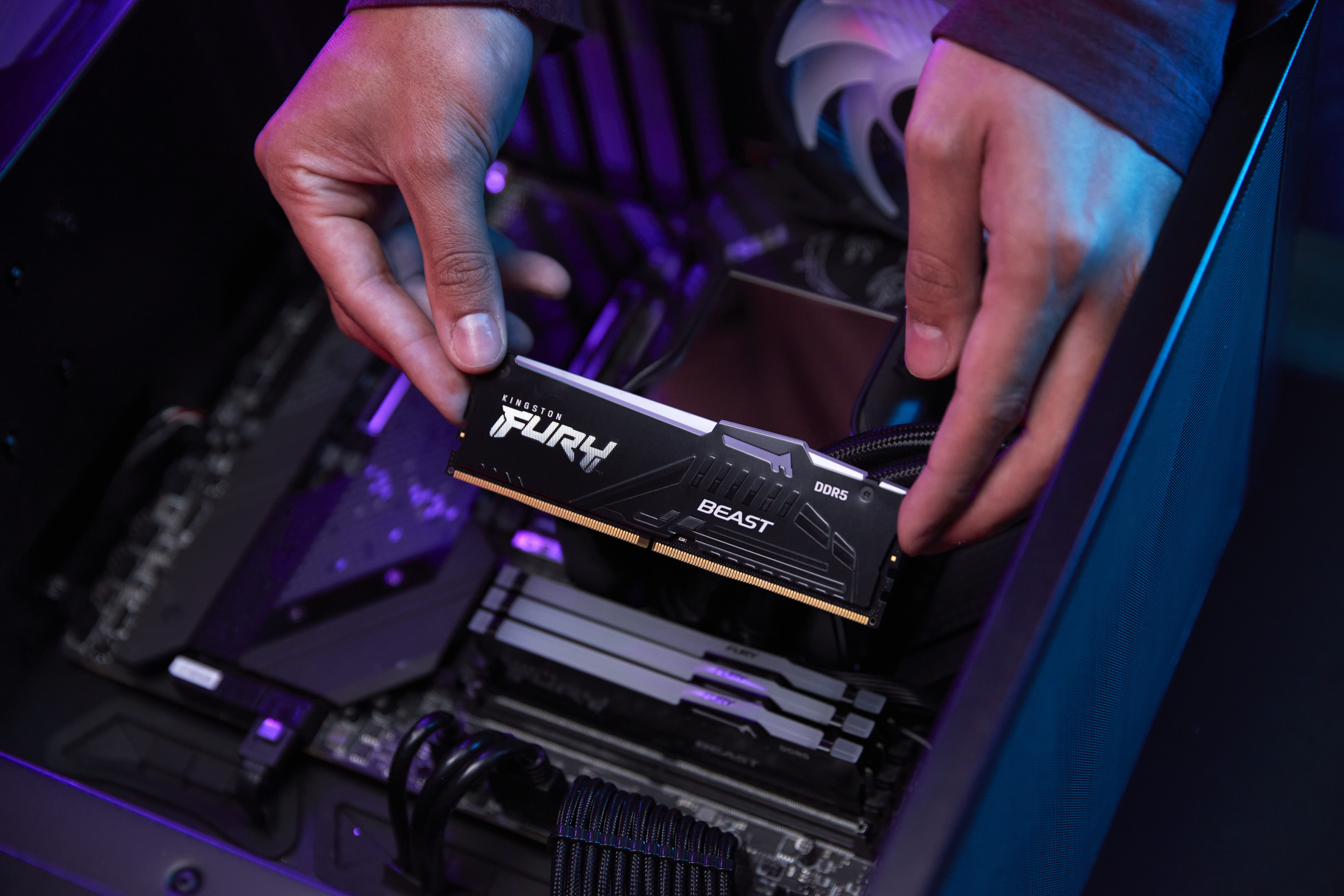 Kingston FURY Beast RGB - DDR5 - Modul - 16 GB