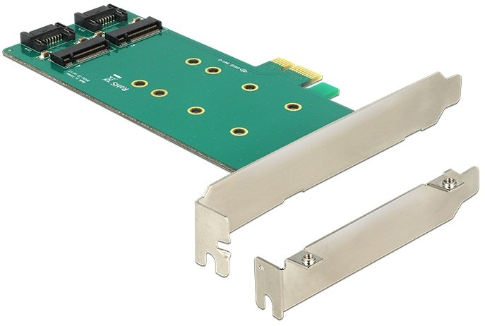 Delock PCI Express Card > 2 x internal M.2