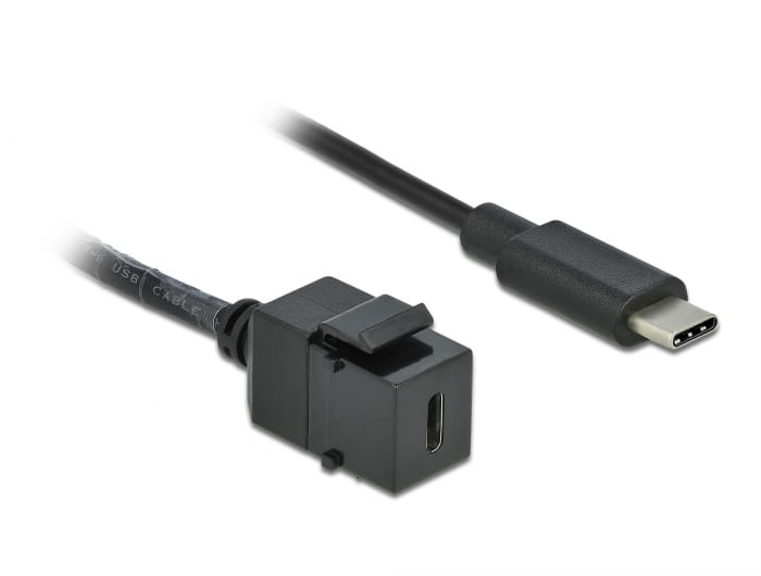Delock Modulare Eingabe - USB Typ C - Schwarz