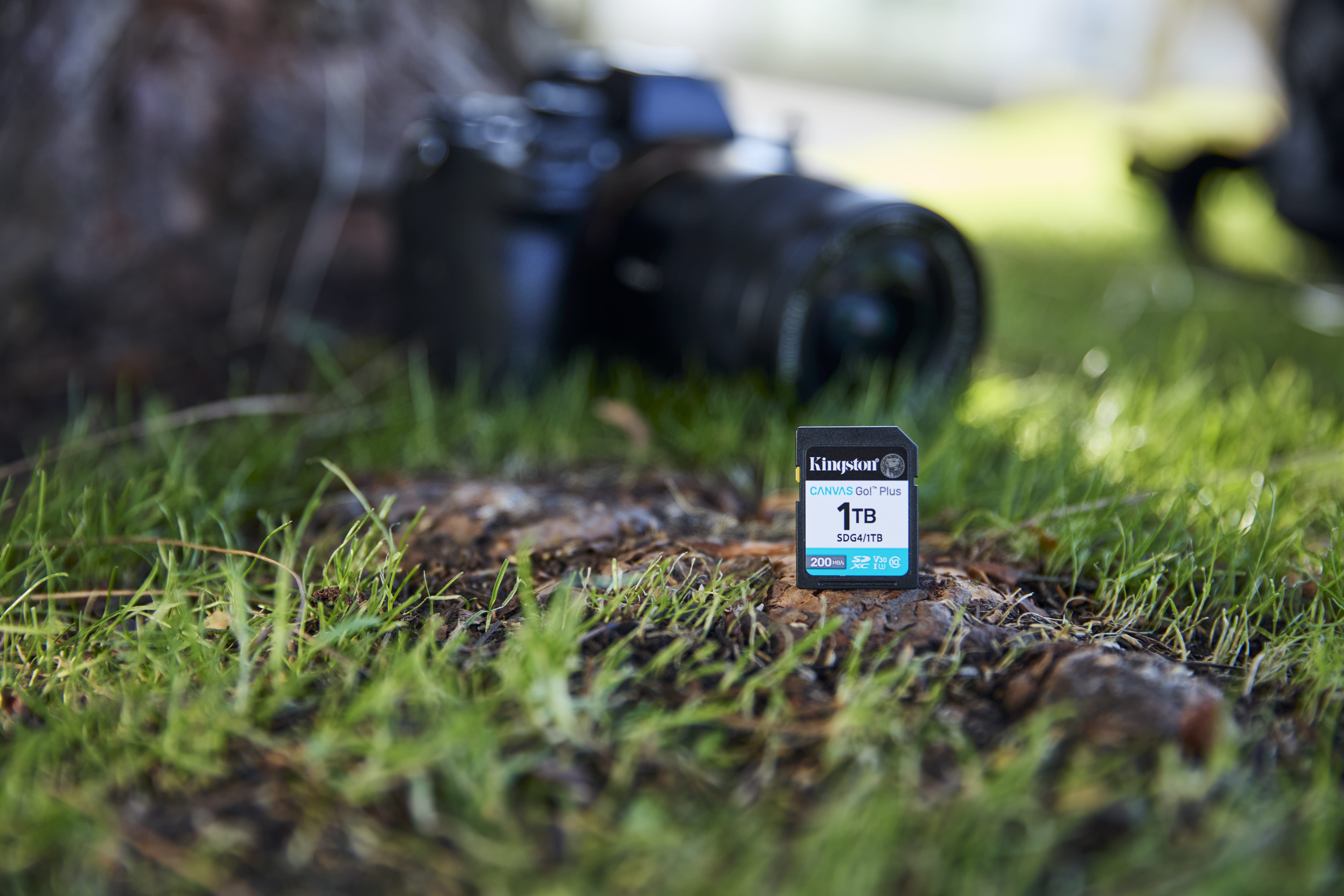 Kingston Canvas Go! Plus - Flash-Speicherkarte